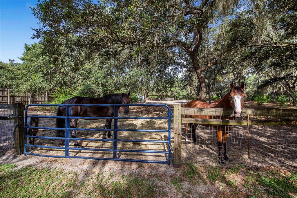 10740 Jim Edwards Road Haines City, FL 33844 - Photo 40 of 66