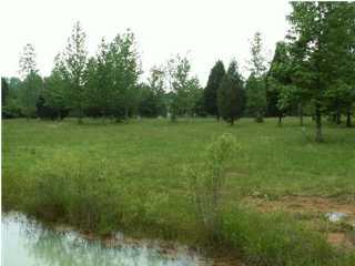 50 Crow Gap Road Chickamauga, GA 30707 - Photo 1 of 6 Primary Photo