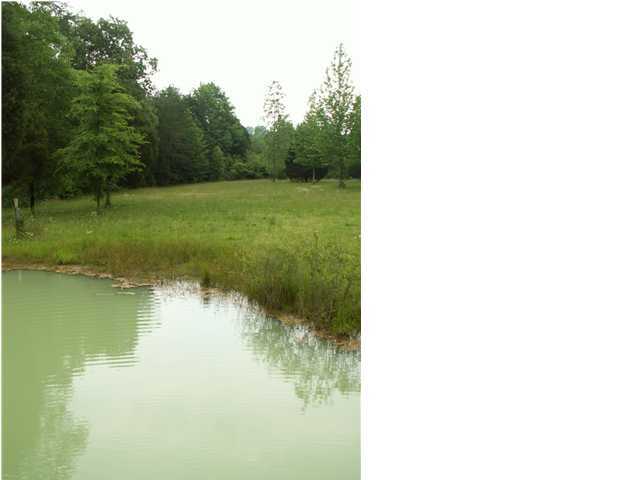 50 Crow Gap Road Chickamauga, GA 30707 - Photo 2 of 6 Additional Photo