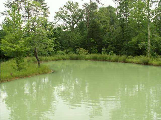 50 Crow Gap Road Chickamauga, GA 30707 - Photo 4 of 6 Additional Photo