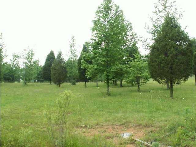 50 Crow Gap Road Chickamauga, GA 30707 - Photo 5 of 6 Additional Photo