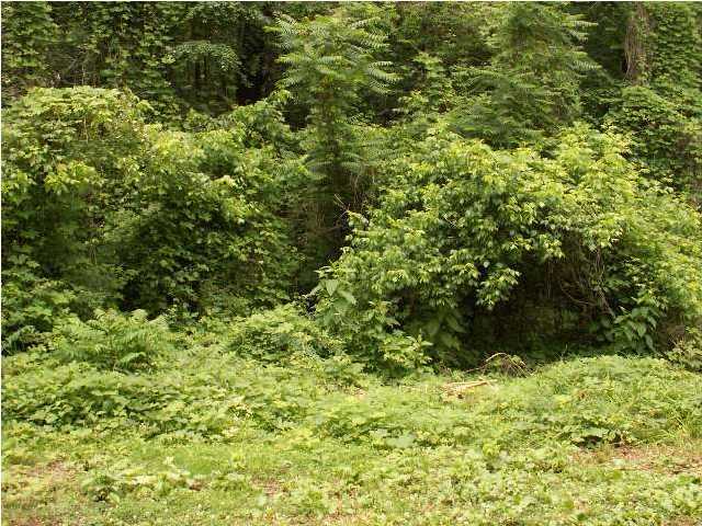 50 Crow Gap Road Chickamauga, GA 30707 - Photo 6 of 6 Additional Photo