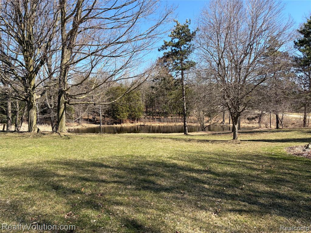 5449 Lum Road Attica, MI 48412 - Photo 51 of 81