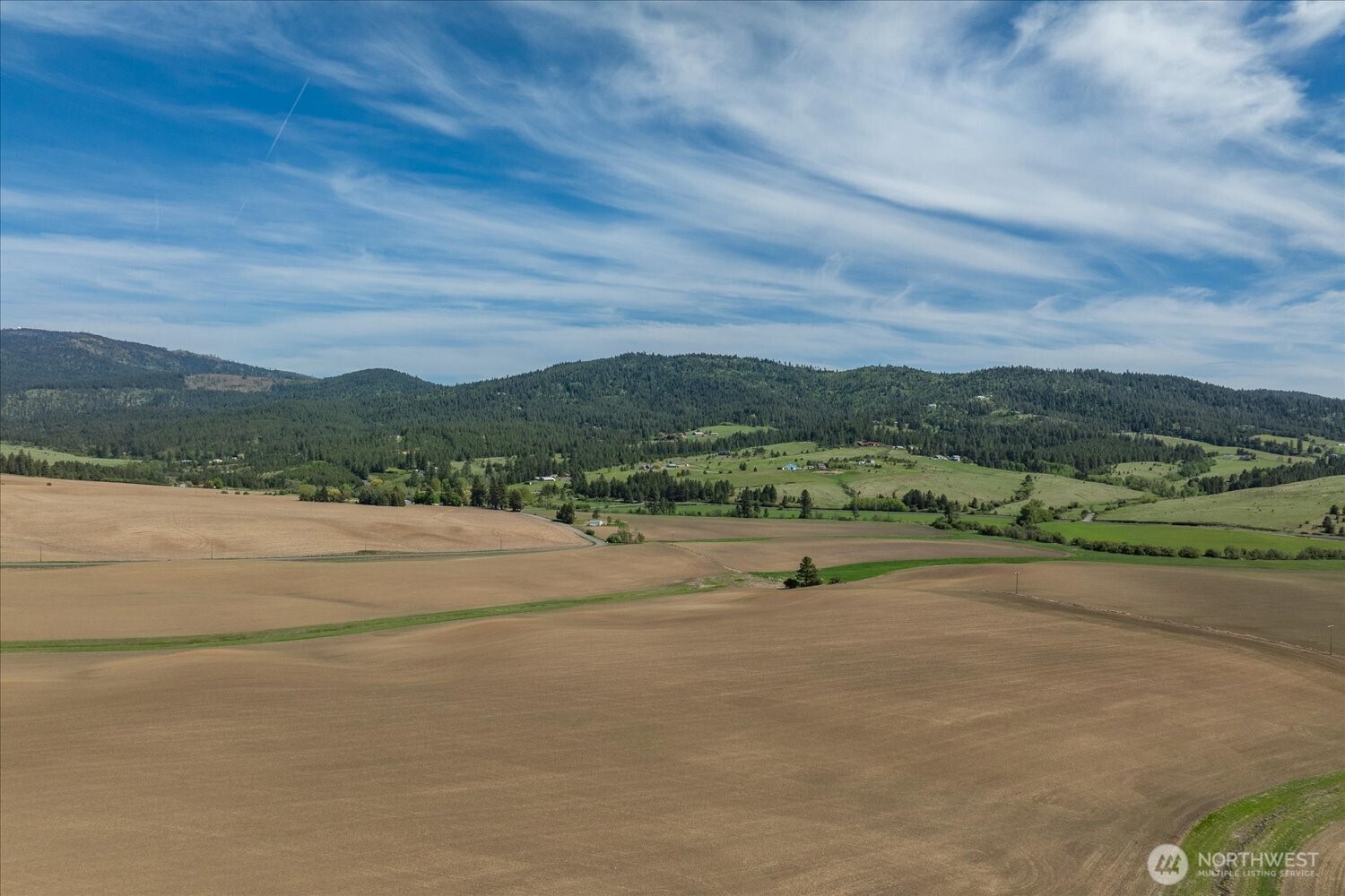 -xxx South Jackson Road, Unit LOT 17 Mica, WA 99023 - Photo 35 of 40 a view of a town with mountains in the background