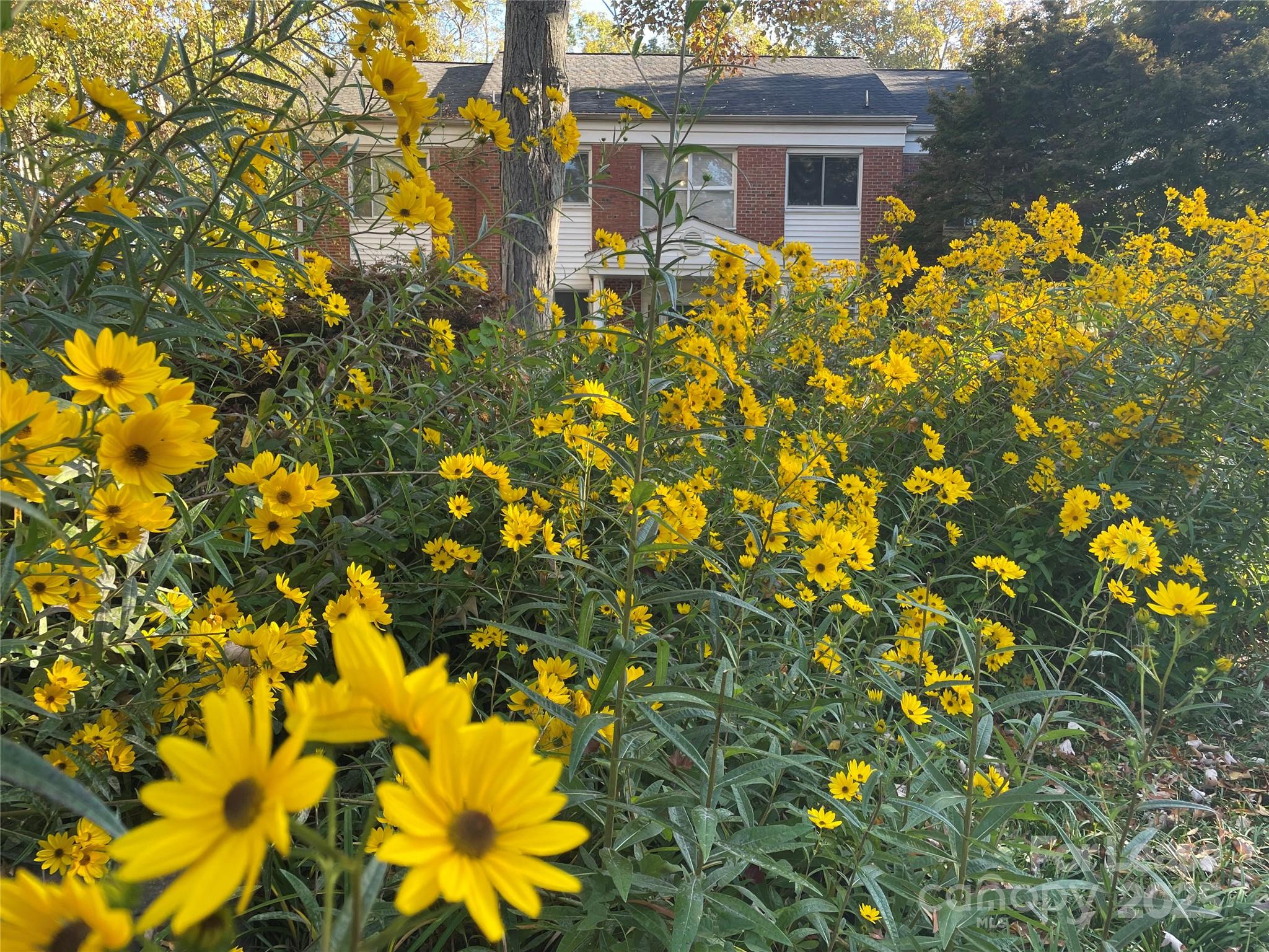 2513 Vail Avenue, Unit 4 Charlotte, NC 28207 - Photo 12 of 12