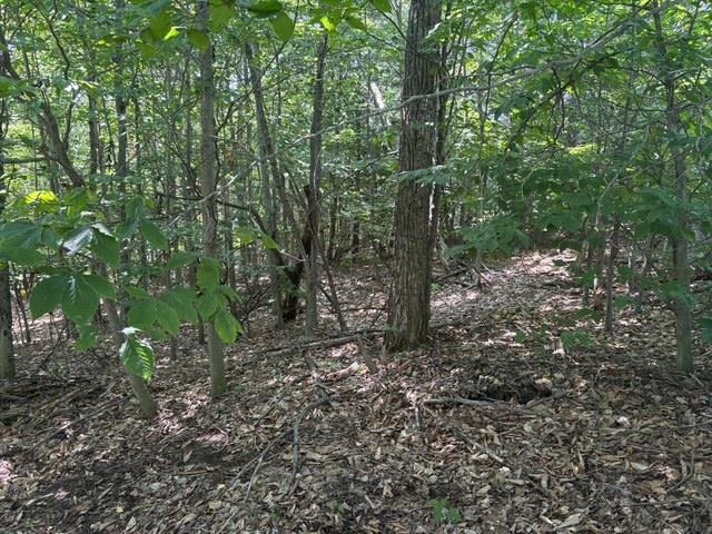 Erdt Road Suttons Bay, MI 49682 - Photo 3 of 36 Gallery Image 3