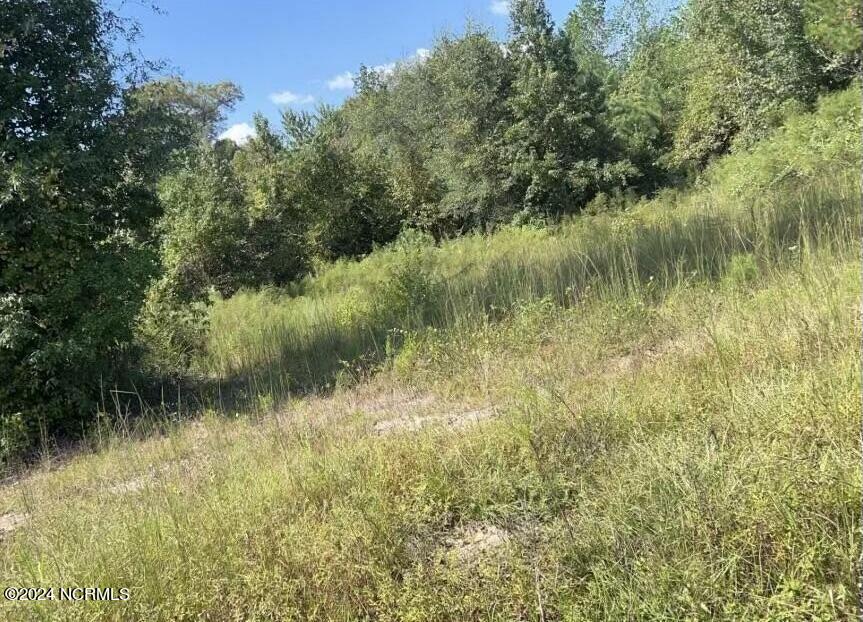 0 Point Caswell Road Willard, NC 28478 - Photo 1 of 6 Unknown-3