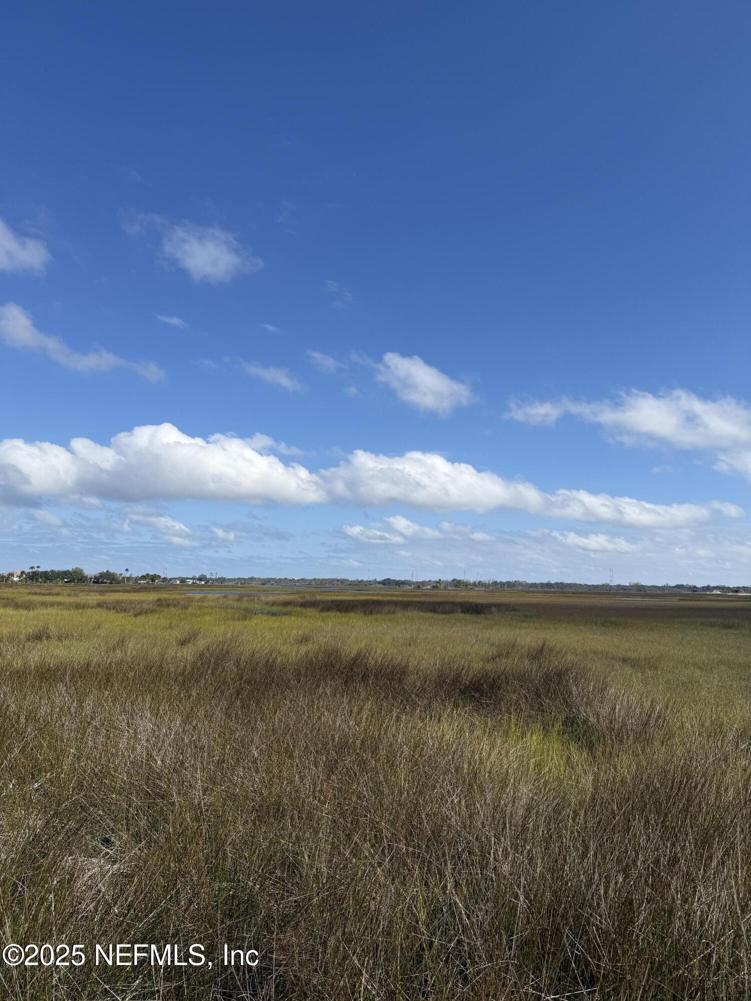 4026 Cedar Island Road East Jacksonville, FL 32250 - Photo 23 of 26 Marsh / Intercostal View