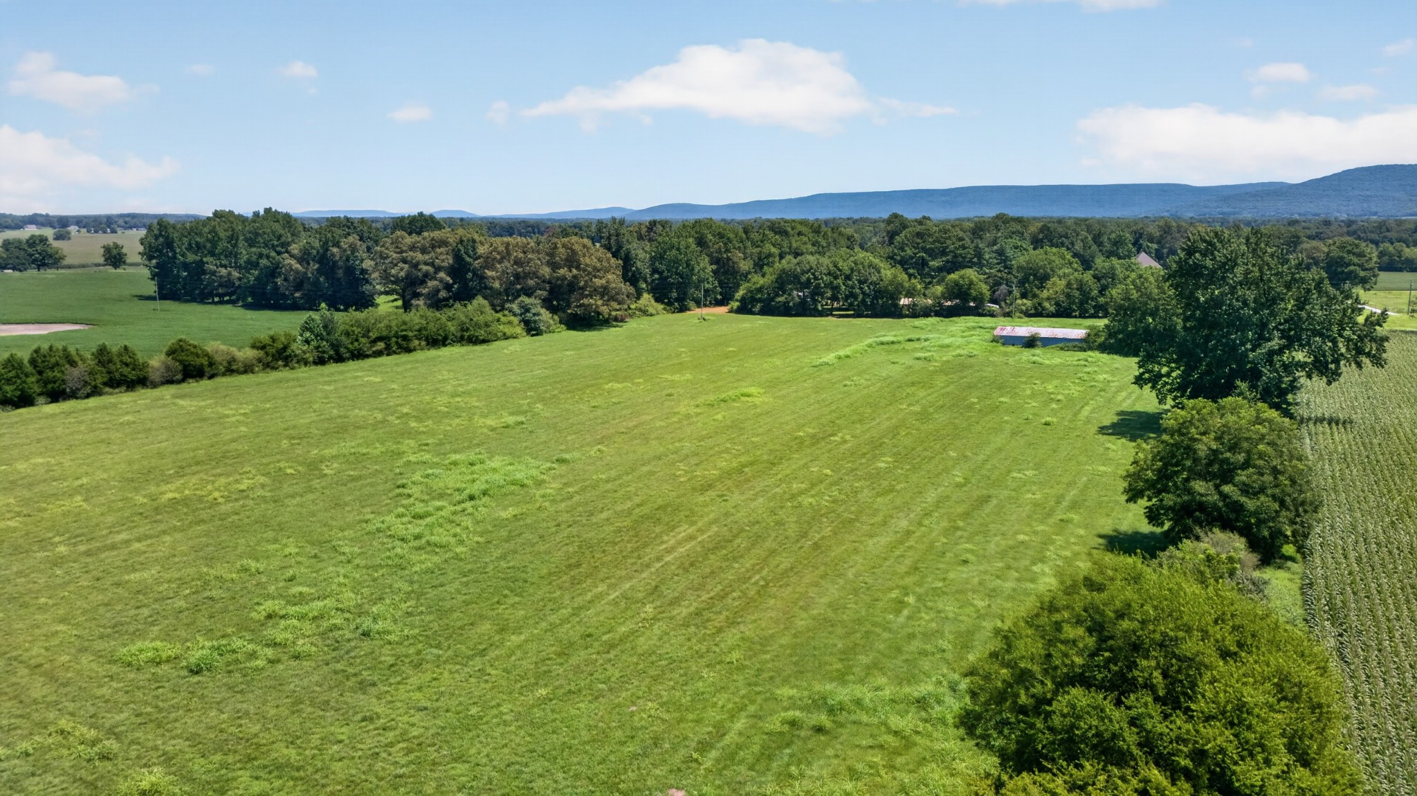 0 Yates Road Hillsboro, TN 37342 - Photo 10 of 11 Gallery Image 10