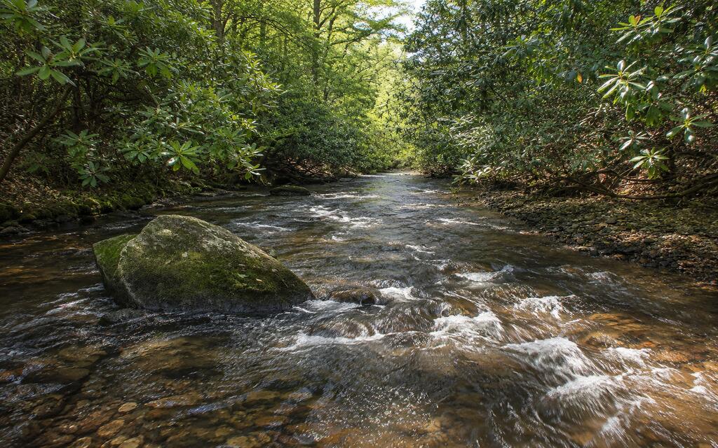 3149 Big Creek Road Cherry Log, GA 30522 - Photo 62 of 64 Gallery Image 62