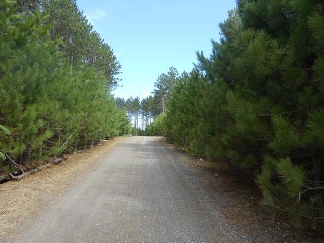 On Towering Pines Lane, Unit LOT 6 Rhinelander, WI 54501 - Photo 2 of 7 Gallery Image 2