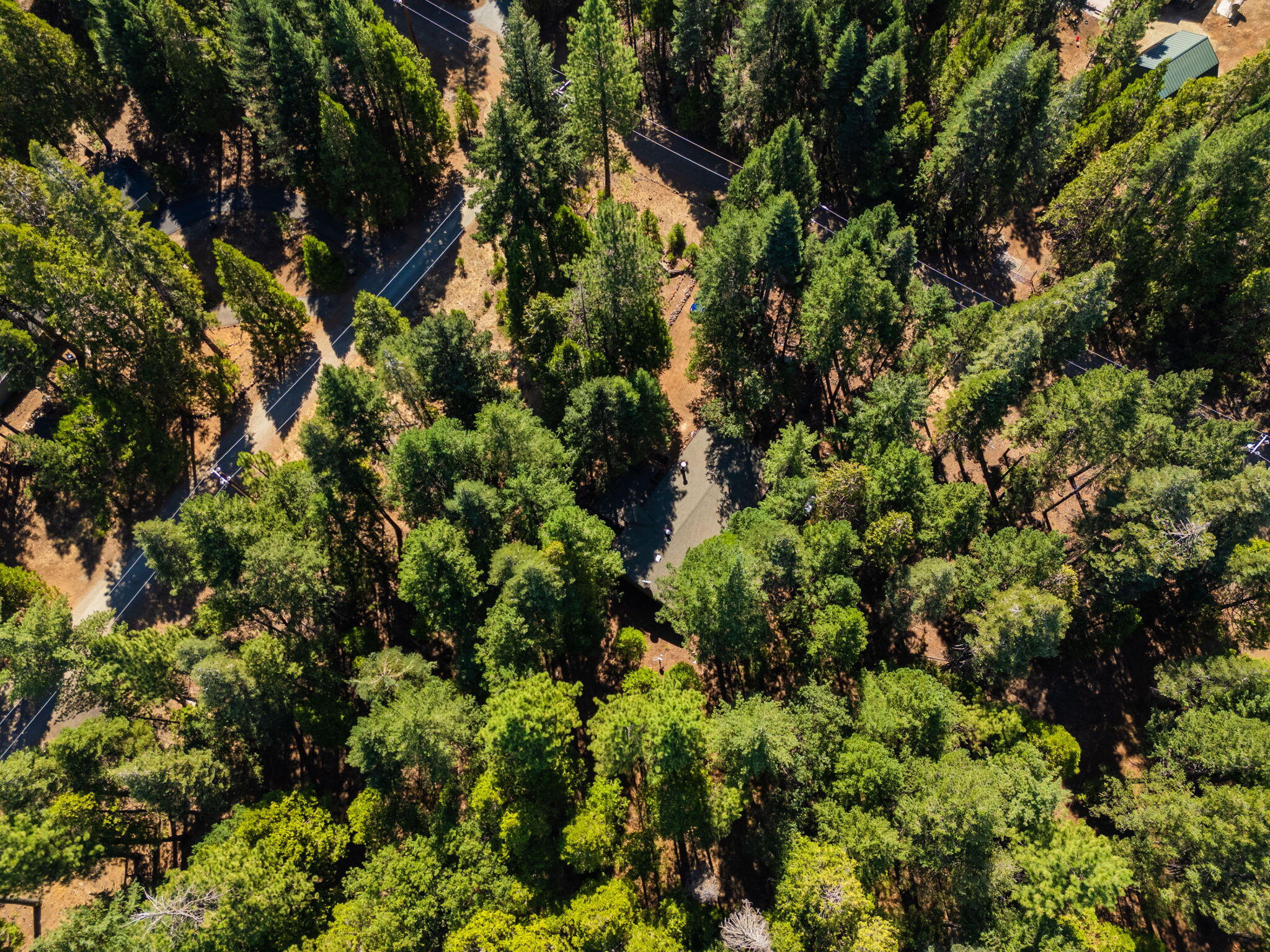 34634 Timber Ridge Road Shingletown, CA 96088 - Photo 42 of 54 Aerial view