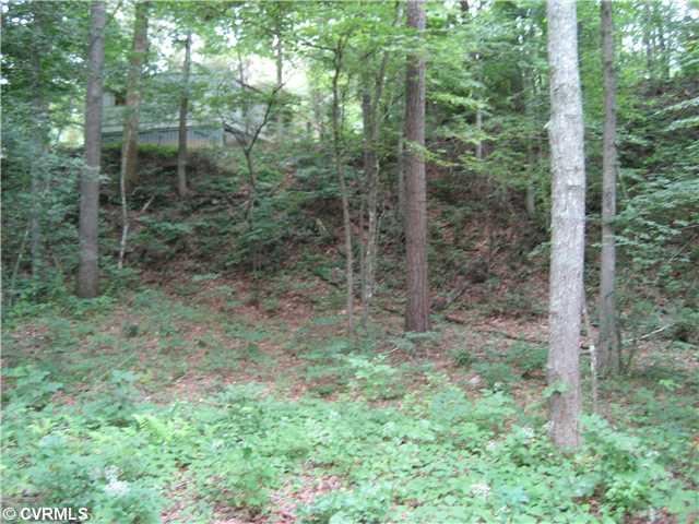 20044 Landora Bridge Road Ruther Glen, VA 22546 - Photo 6 of 7 Gallery Image 6