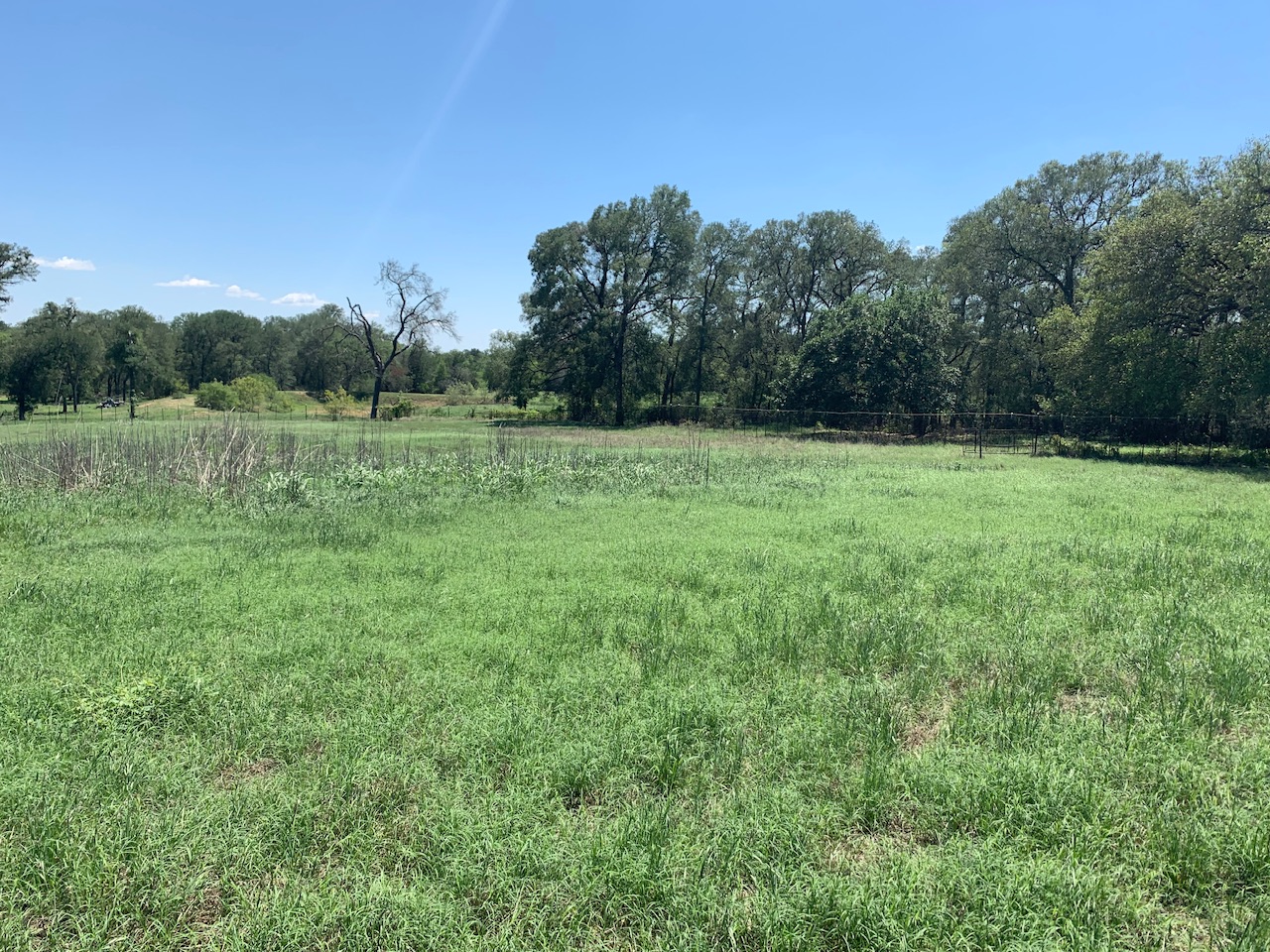 133 Clearfork Road Lockhart, TX 78644 - Photo 16 of 19 a view of an outdoor space and a yard