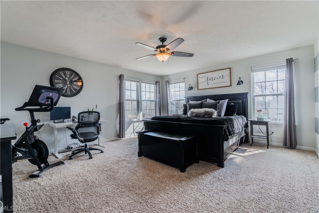 6687 List Street Northwest Canton, OH 44708 - Photo 16 of 21 Bedroom featuring light carpet, ceiling fan, and multiple windows