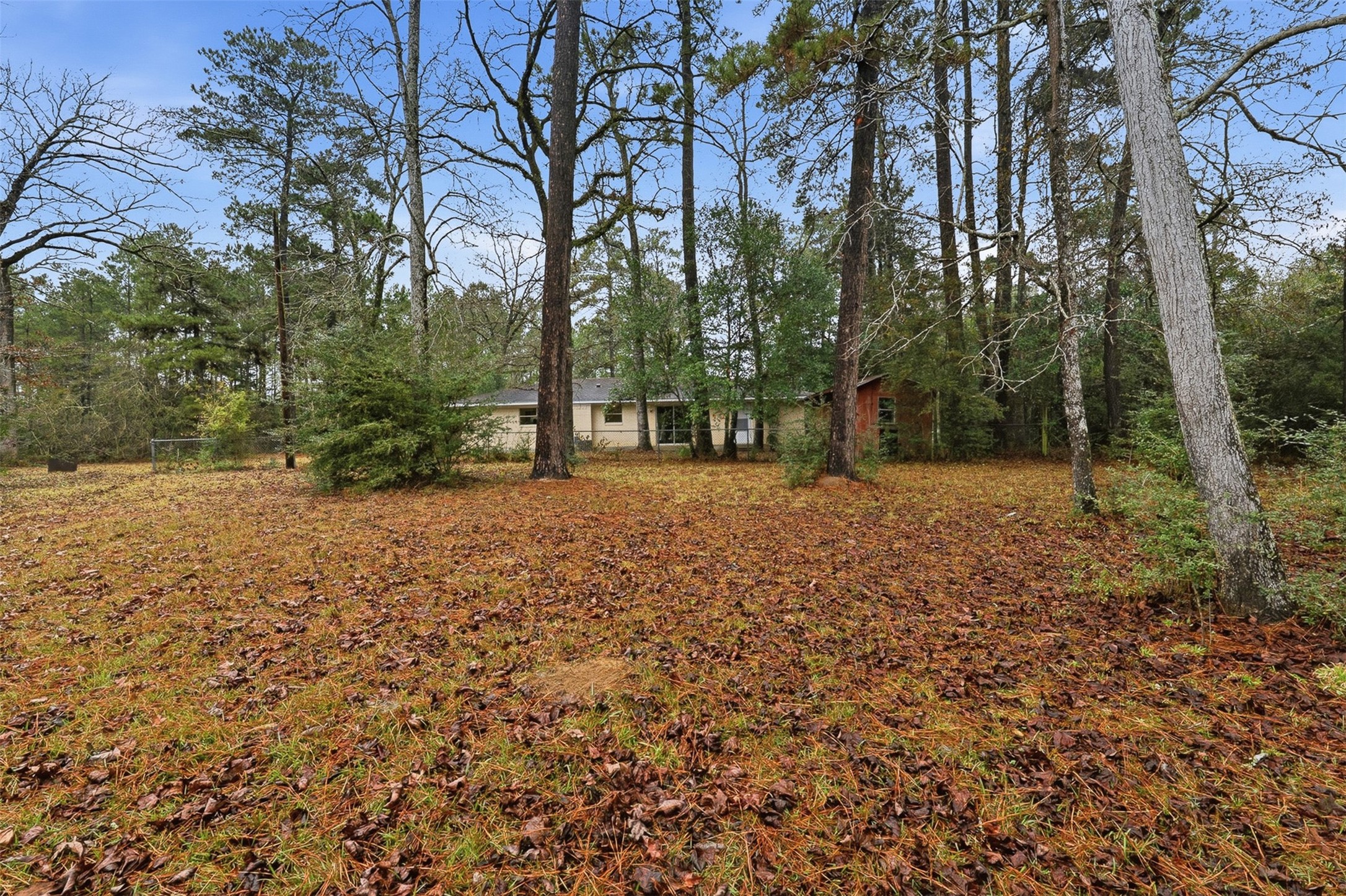 401 Turner Cemetery Road Livingston, TX 77351 - Photo 21 of 34 a view of a field with trees in the background