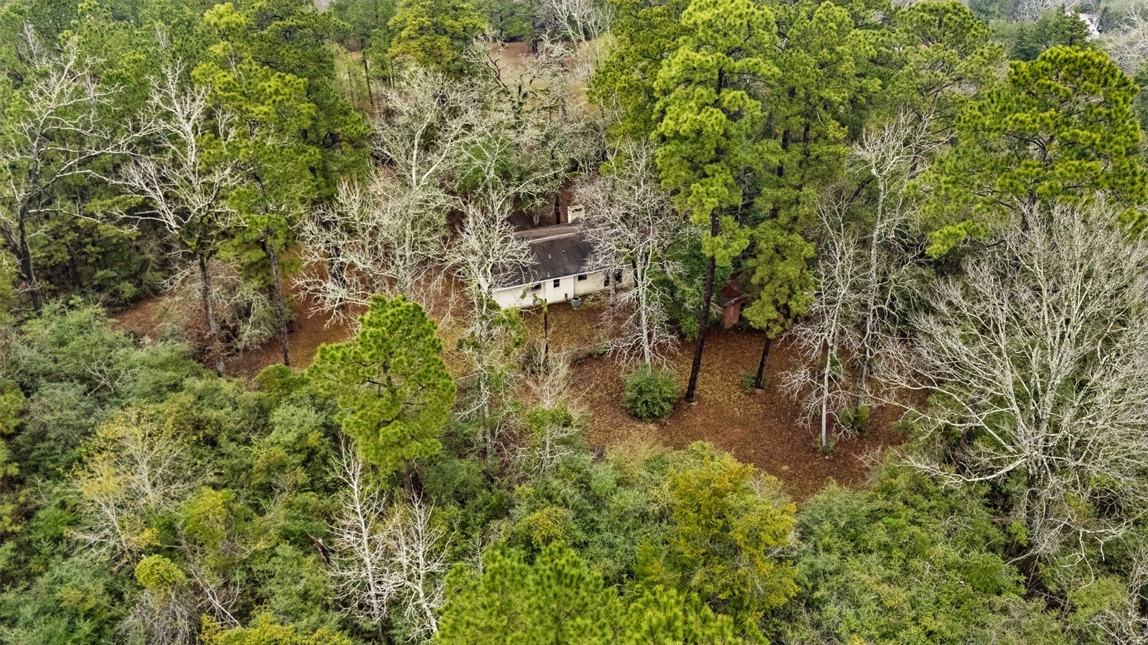 401 Turner Cemetery Road Livingston, TX 77351 - Photo 28 of 34 a backyard of a house with a yard and fountain