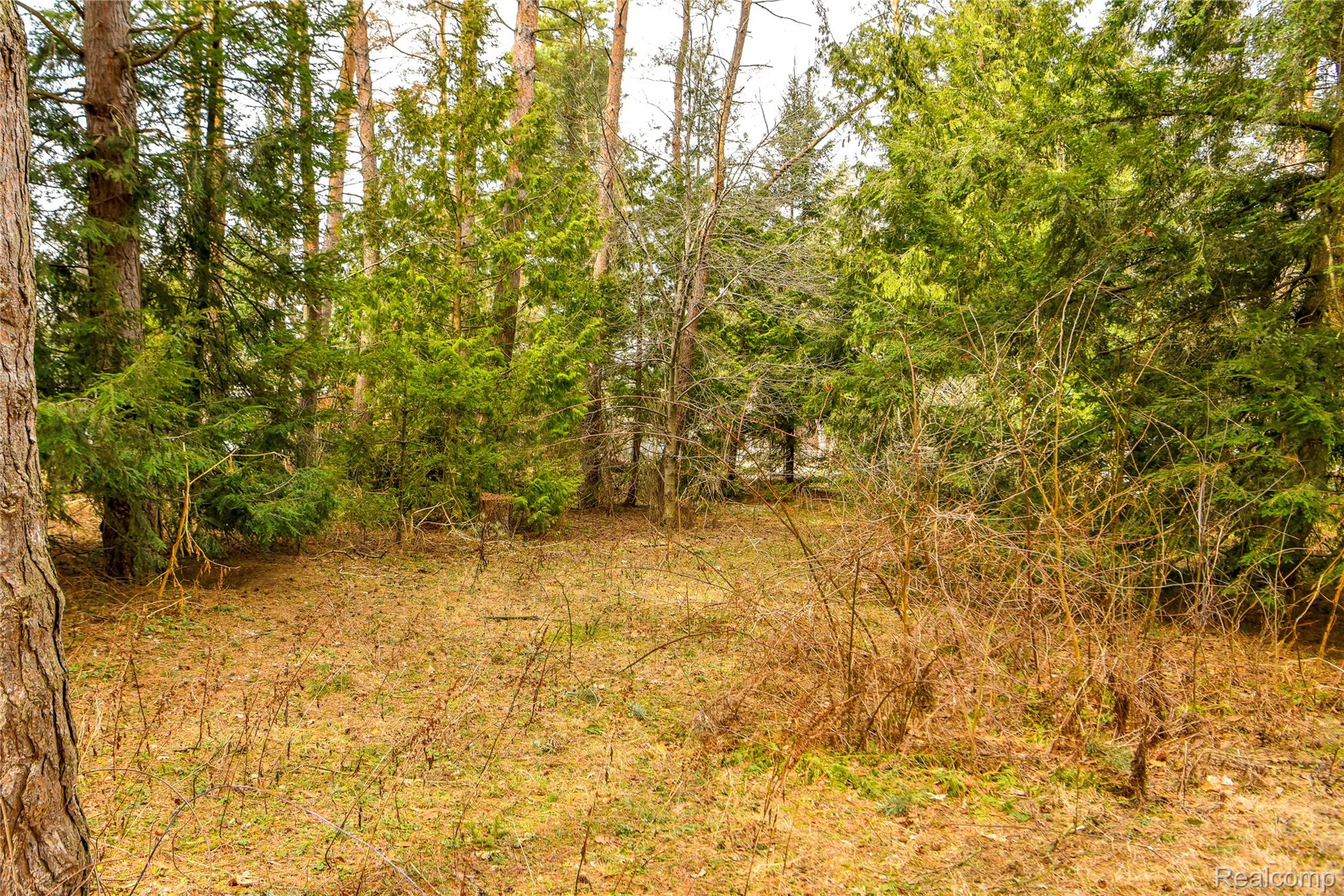 Lot 64 Merry Road Waterford, MI 48328 - Photo 16 of 26 1493 Vacant Lot for MLS (16).jpg