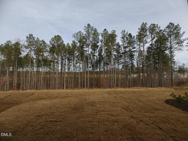 $2,980 | 116 Corapeake Way, Holly Springs, NC 27539