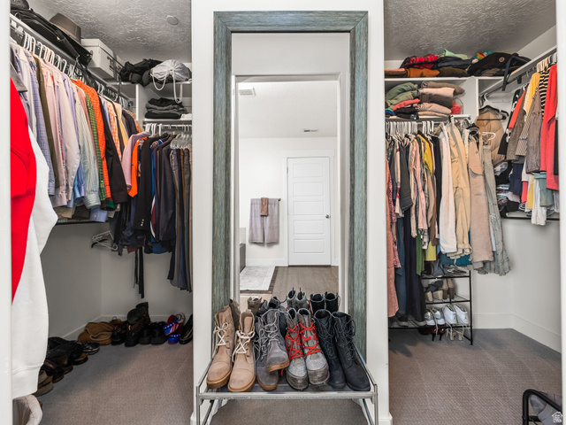 117 Ridge View Drive Elk Ridge, UT 84651 - Photo 22 of 42 Walk in closet featuring carpet flooring