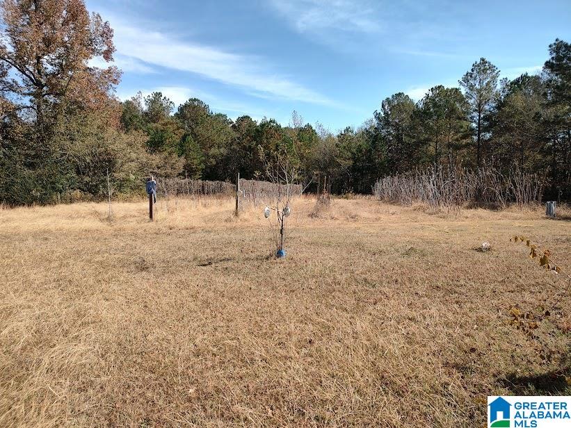 312 Pine Grove Road Sylacauga, AL 35150 - Photo 10 of 25