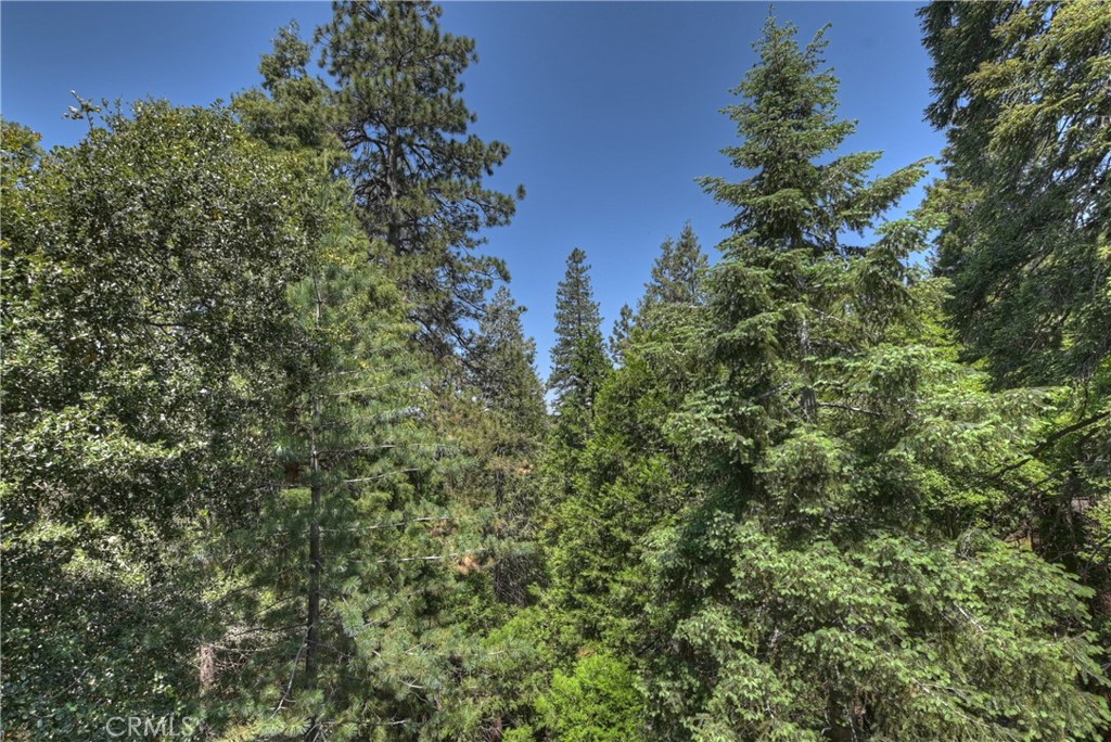1100 Arbula Drive Crestline, CA 92325 - Photo 15 of 50 an aerial view of a houses with a yard