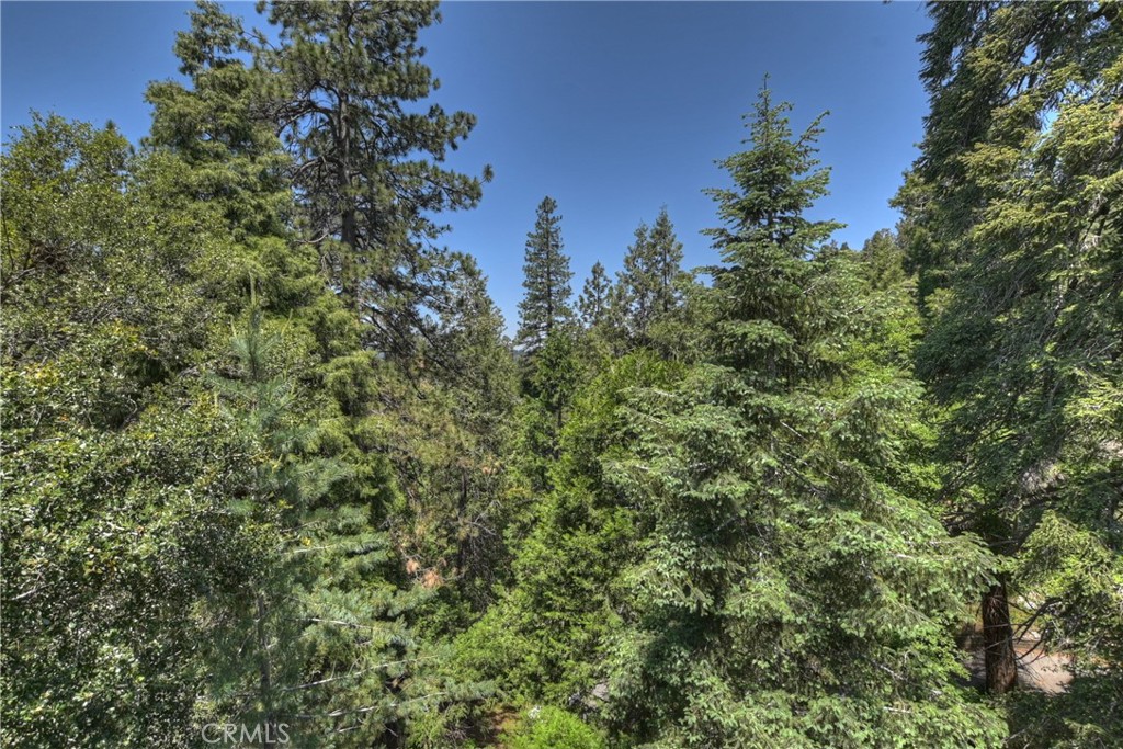 1100 Arbula Drive Crestline, CA 92325 - Photo 16 of 50