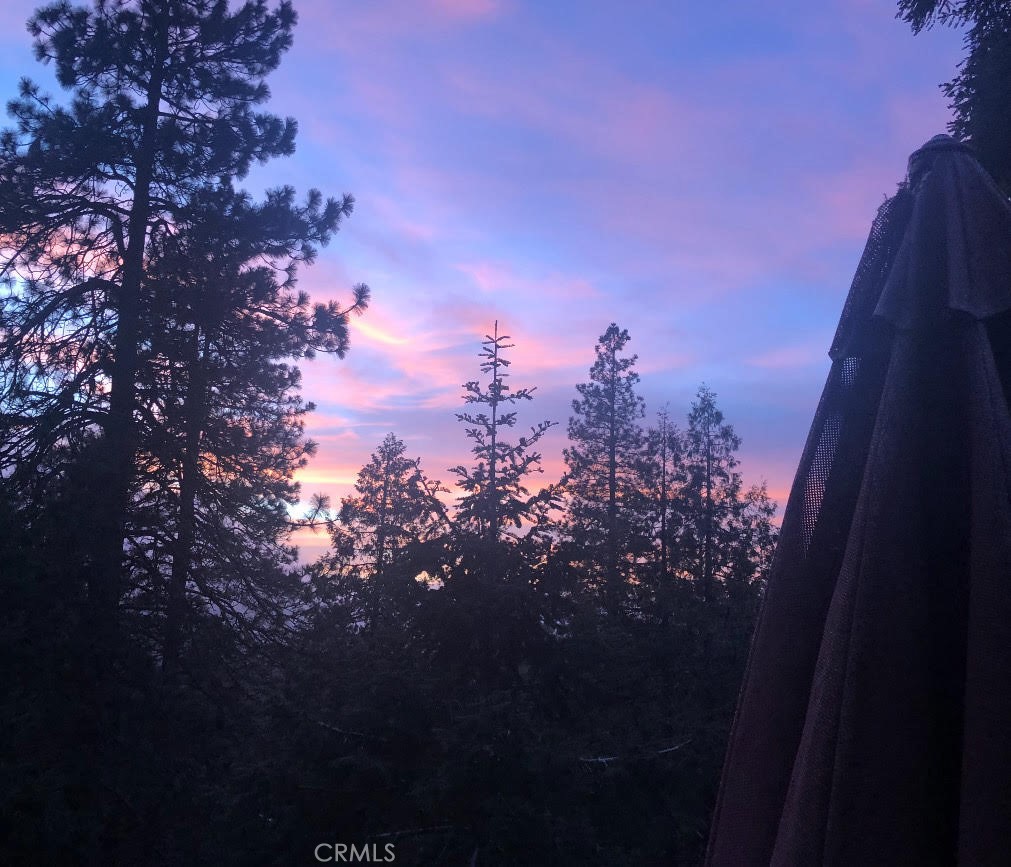 1100 Arbula Drive Crestline, CA 92325 - Photo 47 of 50 a view of a building