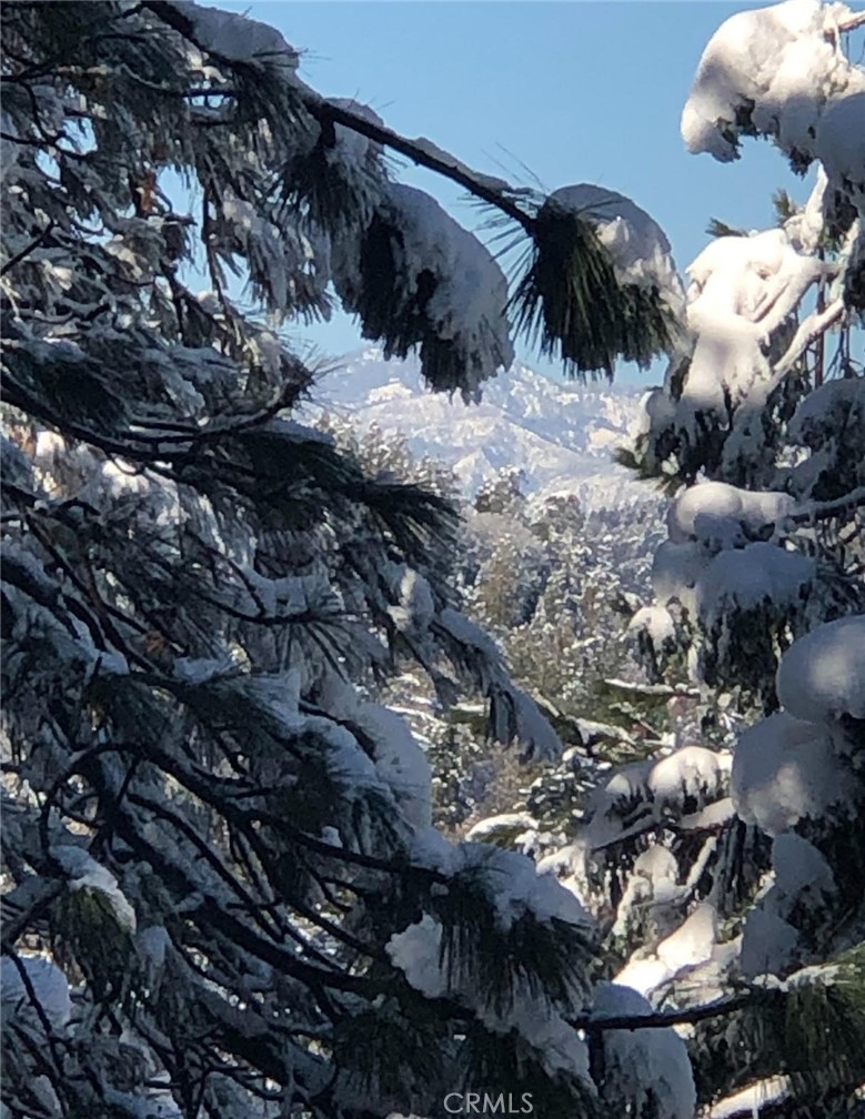 1100 Arbula Drive Crestline, CA 92325 - Photo 50 of 50 a view of a backyard of a house