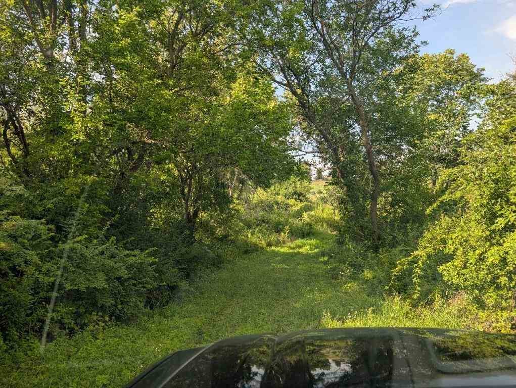 Lot 1 Timber View Ridge Solon, IA 52333 - Photo 11 of 13 Gallery Image 11
