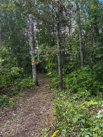 $49,900 | 2-xx South 63rd Avenue West, Duluth, MN 55807