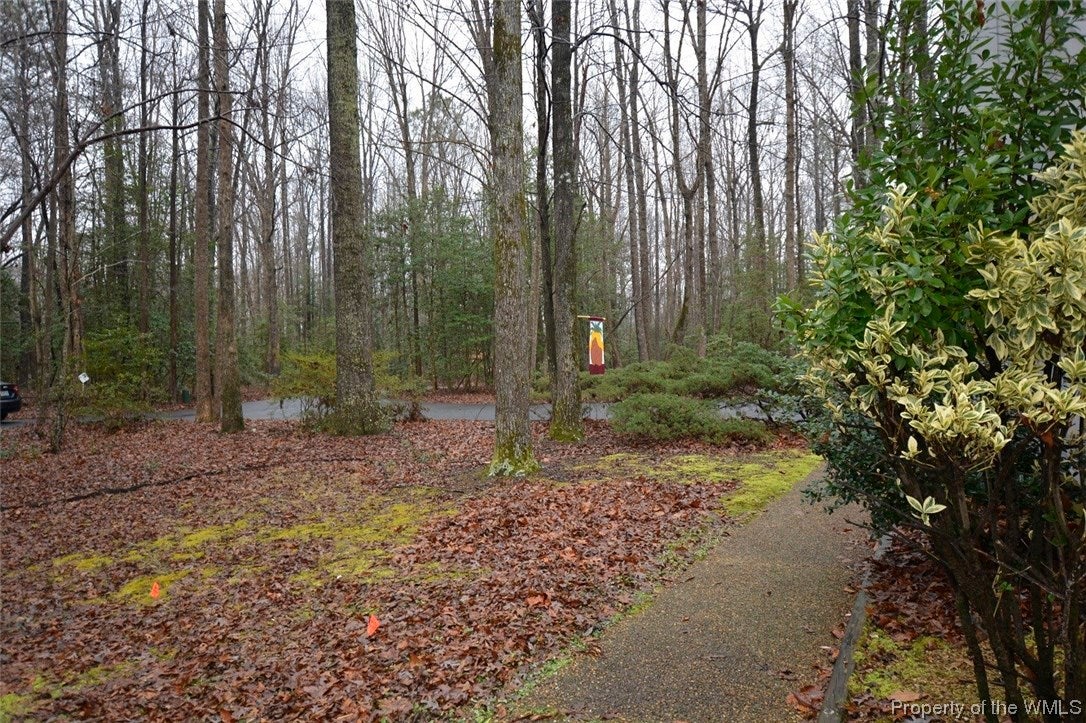 9126 Richmond Road Toano, VA 23168 - Photo 25 of 27 Gallery Image 25