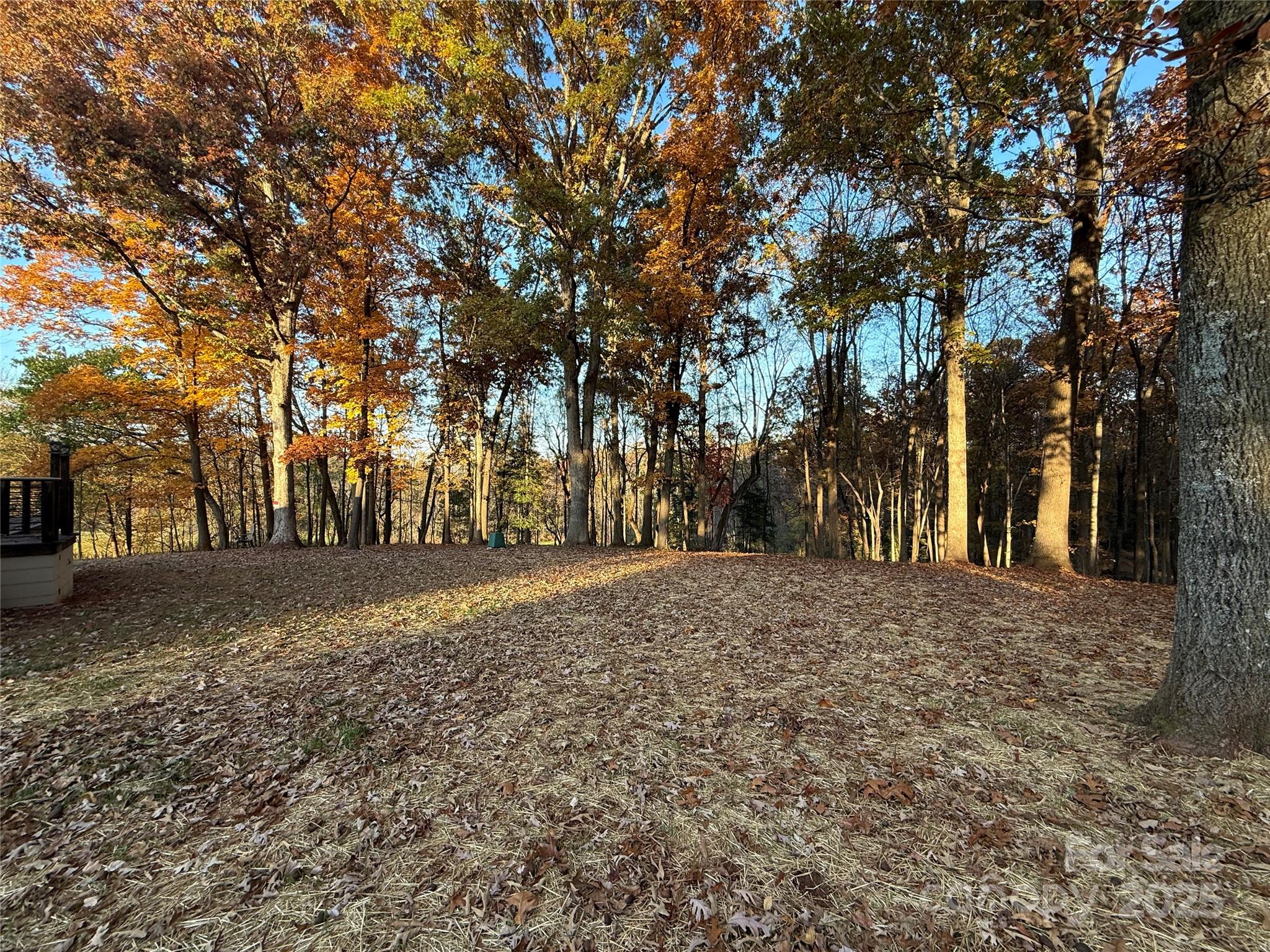 5330 Herman Road Claremont, NC 28610 - Photo 3 of 27