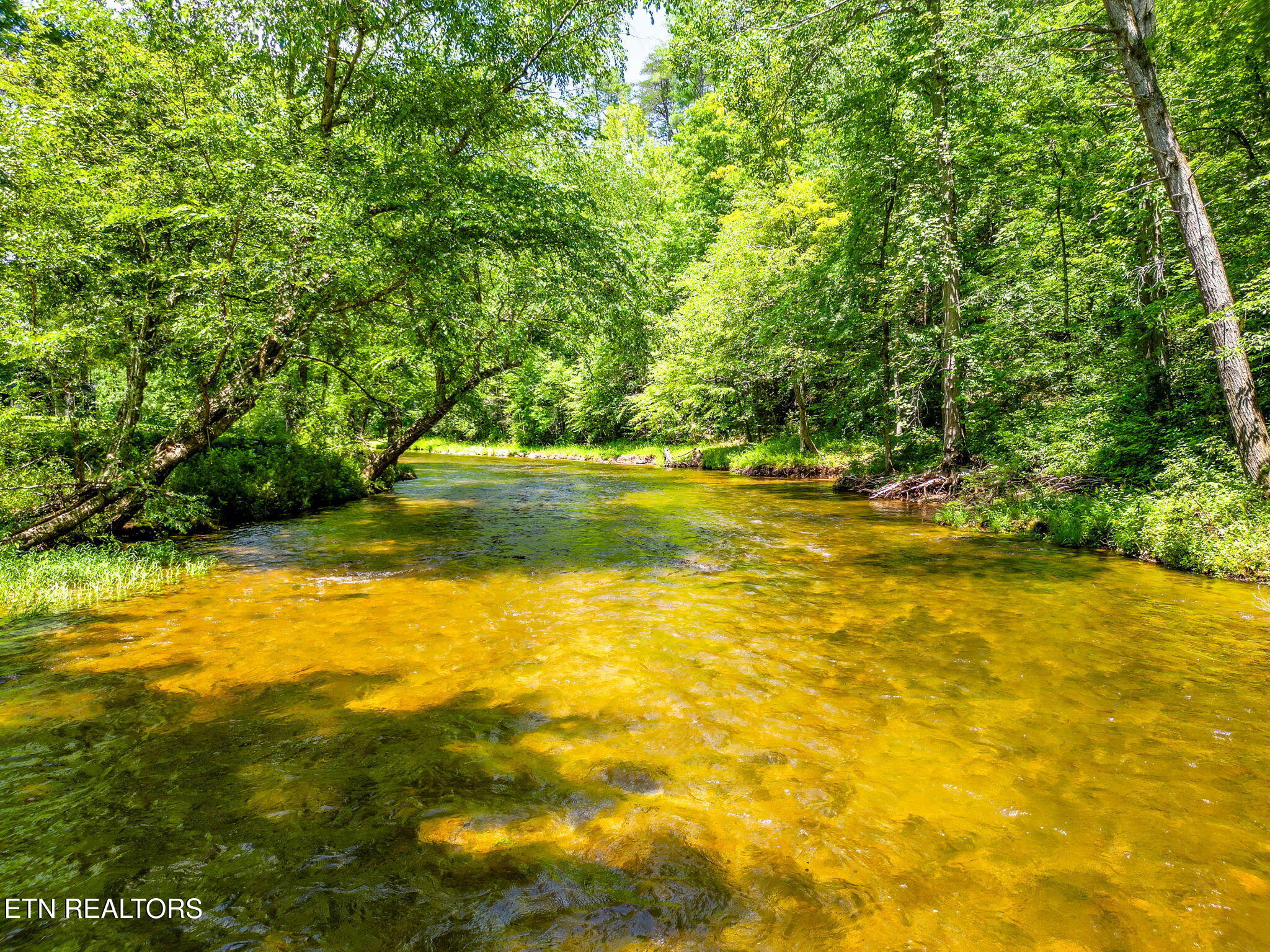2255 Citico Road Vonore, TN 37885 - Photo 57 of 60 97-web-or-mls-DJI_0514-HDR