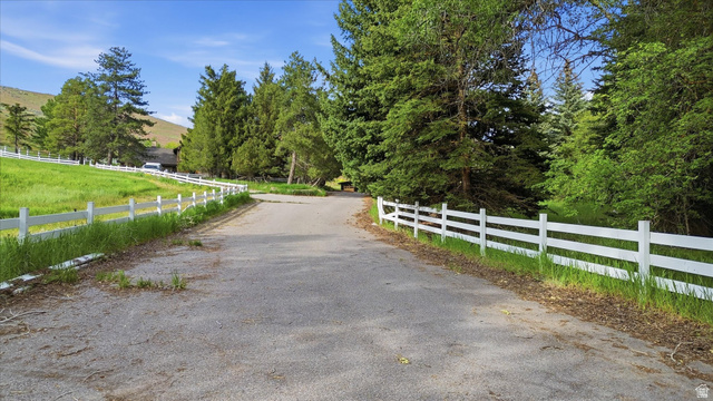 2075 Canyon Road Smithfield, UT 84335 - Photo 15 of 18 Paved driveway lined with a white three-rail fence, bordered by mature evergreen trees and a grassy hillside