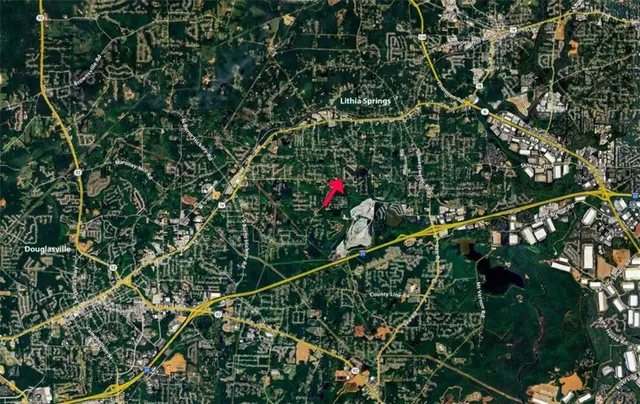 a view of a flower in a garden