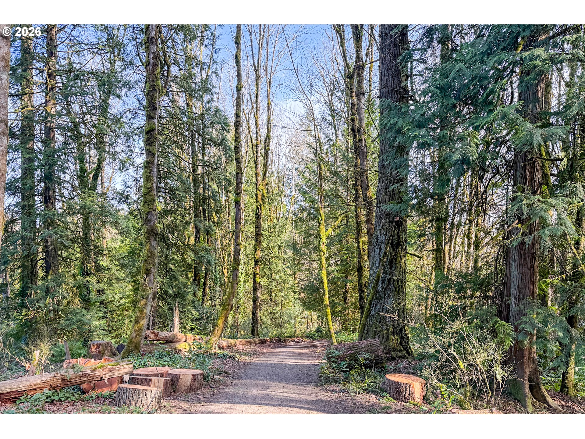 11505 Southwest Boones Ferry Road Portland, OR 97219 - Photo 46 of 47