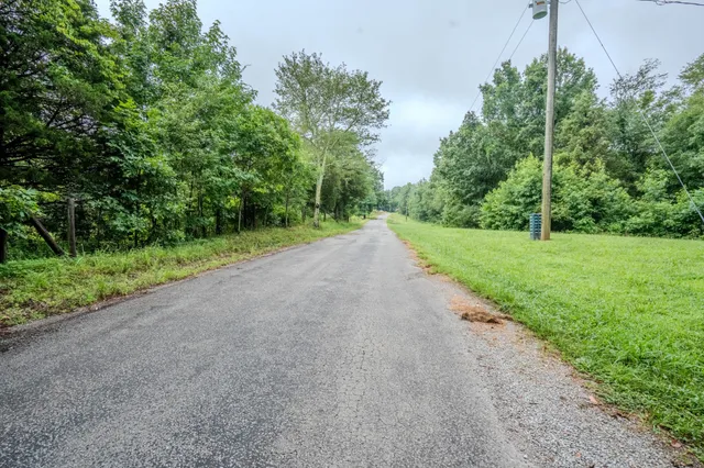 a view of a field with a trees in the background