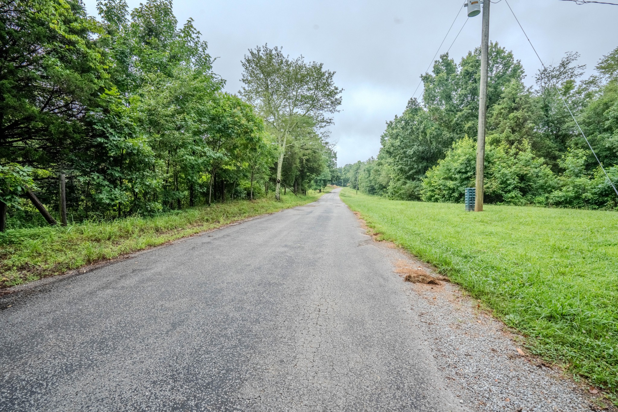 366 Ridge Road Westpoint, TN 38486 - Photo 21 of 29 a view of a field with a trees in the background