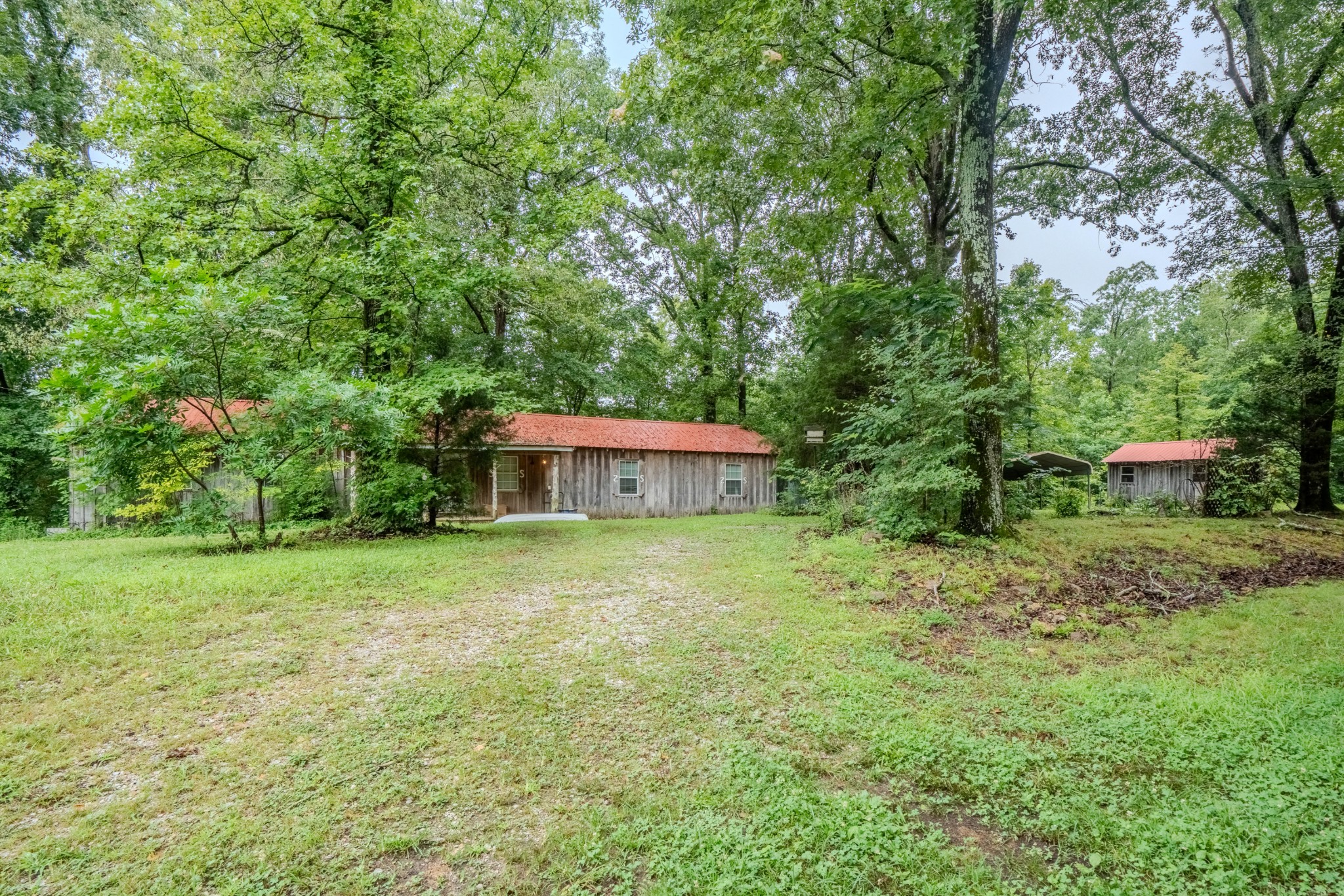 366 Ridge Road Westpoint, TN 38486 - Photo 21 of 35 a view of a big yard with large trees