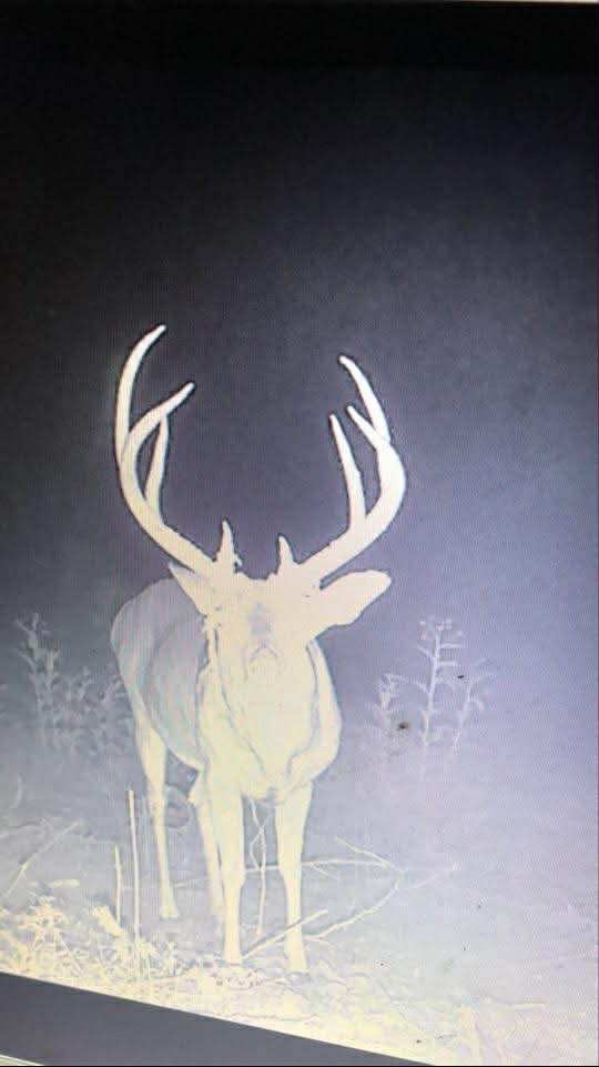 366 Ridge Road Westpoint, TN 38486 - Photo 23 of 29 a close view of tap