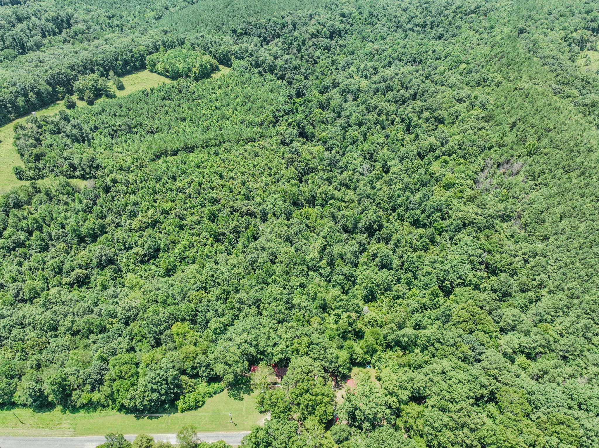 366 Ridge Road Westpoint, TN 38486 - Photo 25 of 29 with green field