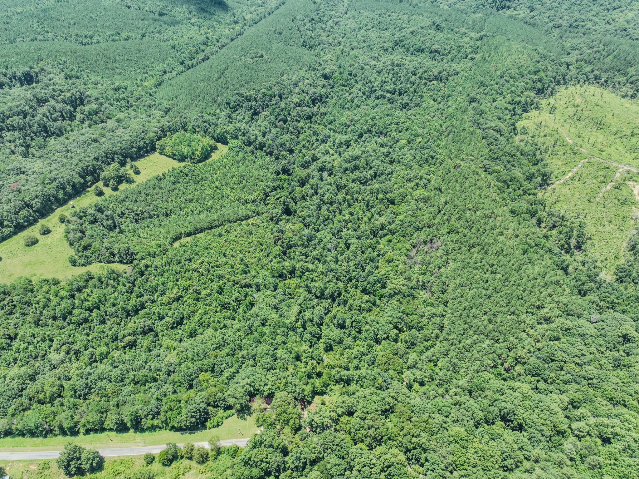 366 Ridge Road Westpoint, TN 38486 - Photo 26 of 29 a view of a large yard with lots of green space