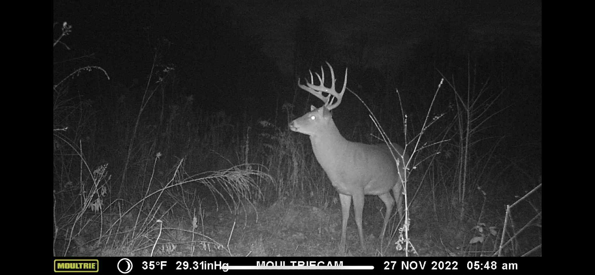 366 Ridge Road Westpoint, TN 38486 - Photo 28 of 35 a view of entryway
