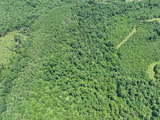 $375,000 | 366 Ridge Road, Westpoint, TN 38486