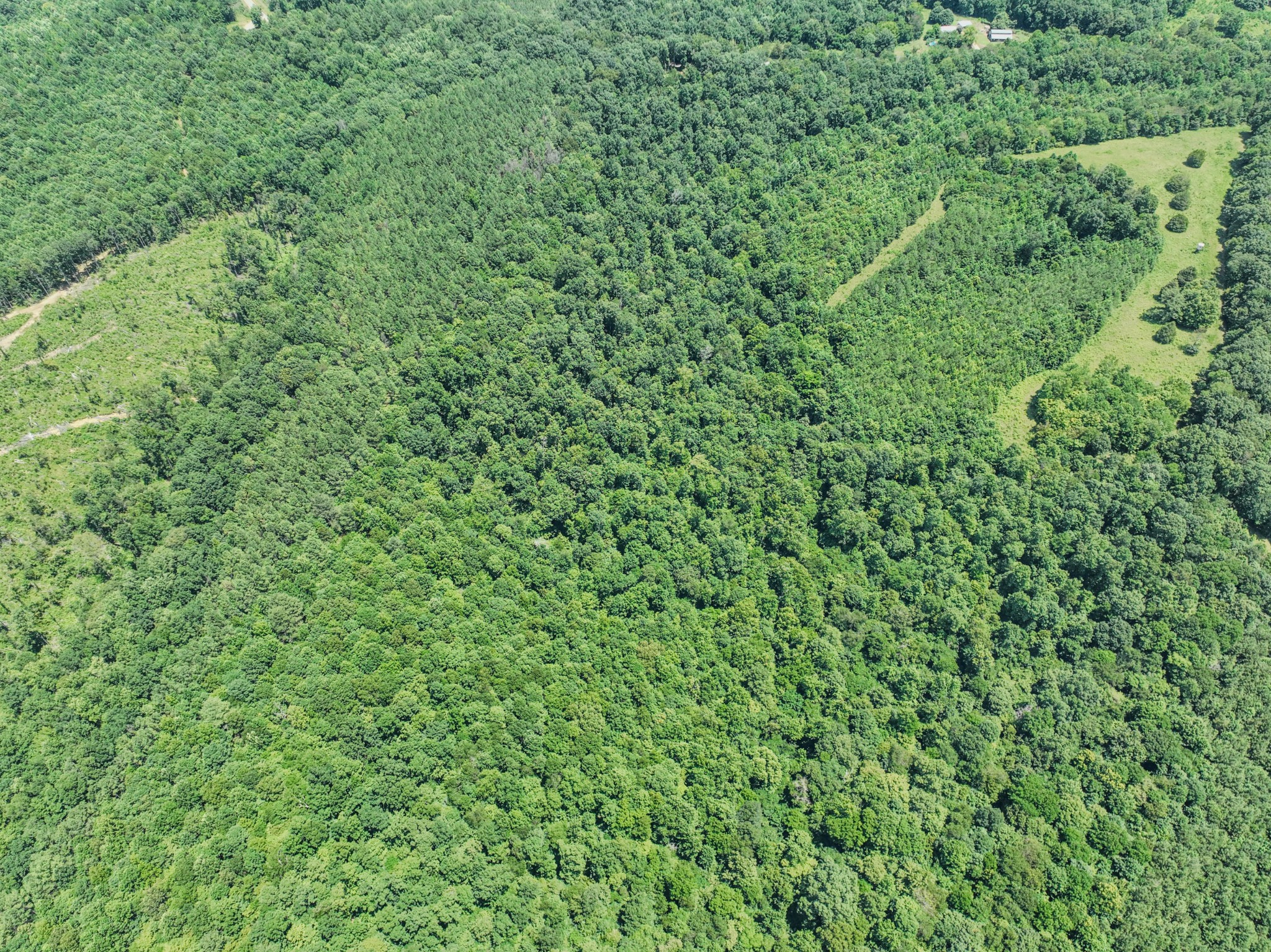 366 Ridge Road Westpoint, TN 38486 - Photo 35 of 35 a view of a green field