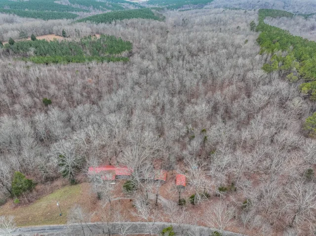 a view of a dry yard