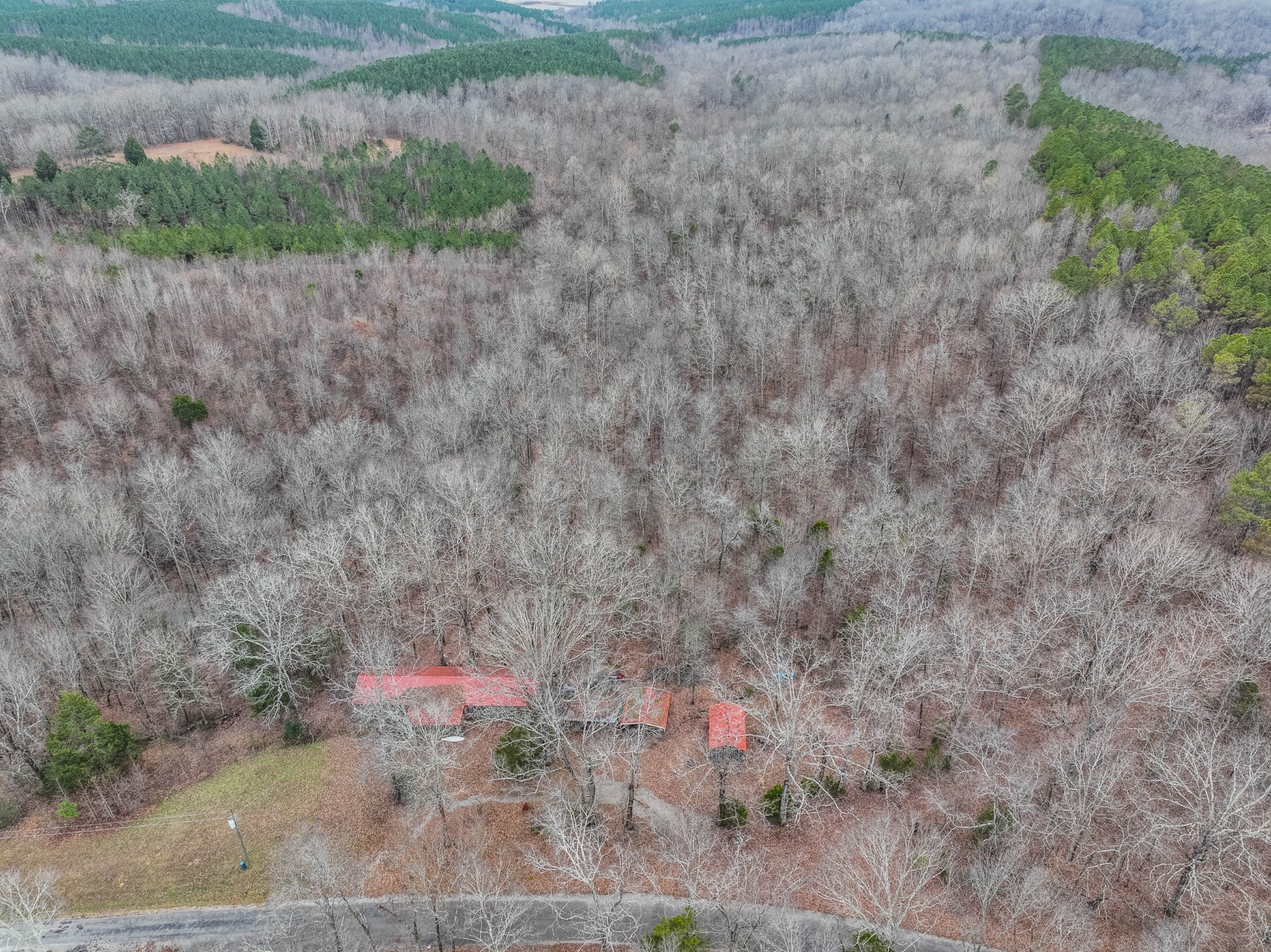 366 Ridge Road Westpoint, TN 38486 - Photo 5 of 35 a view of a dry yard