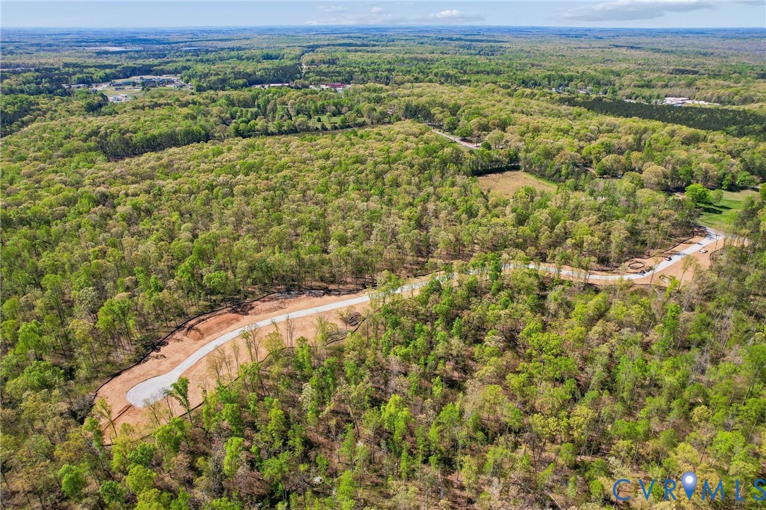 Lot 2 Maidens Road Powhatan, VA 23139 - Photo 23 of 23
