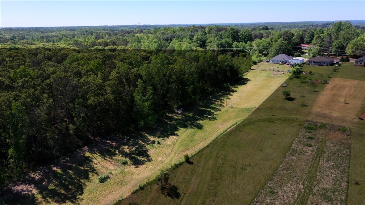 696 Mt Olivet Road Six Mile, SC 29682 - Photo 34 of 35 Expansive green spaces and mature trees define this serene and verdant landscape.